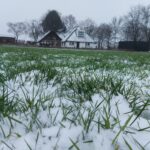 fotoalbum_boerderij_25
