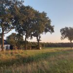 fotoalbum_boerderij_32