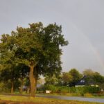 fotoalbum_boerderij_35