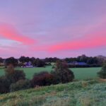 fotoalbum_boerderij_37