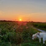 fotoalbum_dieren_17