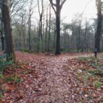 fotoalbum_omgeving_19