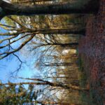 fotoalbum_omgeving_20