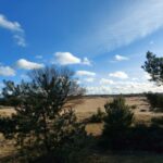 fotoalbum_omgeving_33