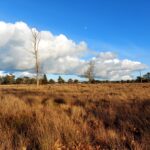 fotoalbum_omgeving_37