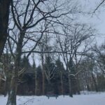 fotoalbum_omgeving_38