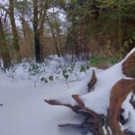 fotoalbum_omgeving_39