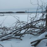 fotoalbum_omgeving_40