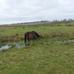 fotoalbum_omgeving_43