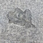fotoalbum_omgeving_44