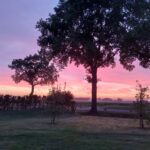 fotoalbum_omgeving_48