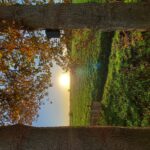 fotoalbum_omgeving_5