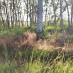 fotoalbum_omgeving_50