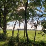 fotoalbum_omgeving_51