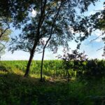 fotoalbum_omgeving_52