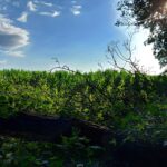 fotoalbum_omgeving_53