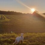fotoalbum_omgeving_56