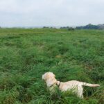 fotoalbum_omgeving_57