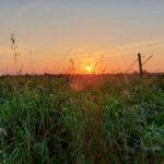 fotoalbum_omgeving_58