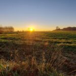 fotoalbum_omgeving_64