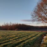 fotoalbum_omgeving_65