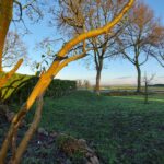 fotoalbum_omgeving_68