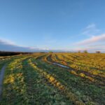 fotoalbum_omgeving_71