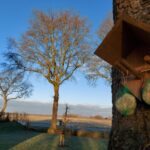 fotoalbum_tuin_17