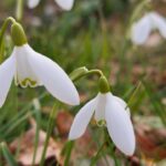 fotoalbum_tuin_56