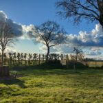 fotoalbum_tuin_58