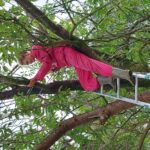 fotoalbum_tuin_59