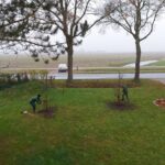 fotoalbum_tuin_6