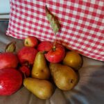 fotoalbum_tuin_64