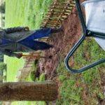fotoalbum_tuin_65