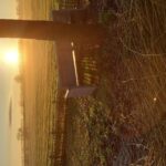fotoalbum_tuin_68