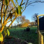 fotoalbum_tuin_69