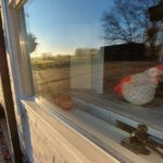 fotoalbum_gastenverblijf_29